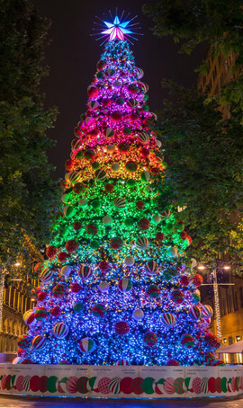 Sydney Christmas